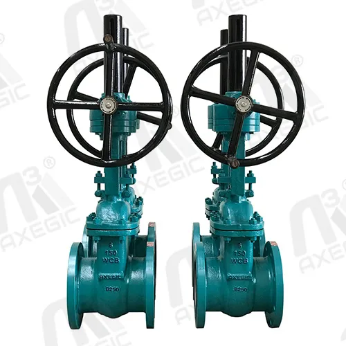Rising and Non Rising Gate Valve